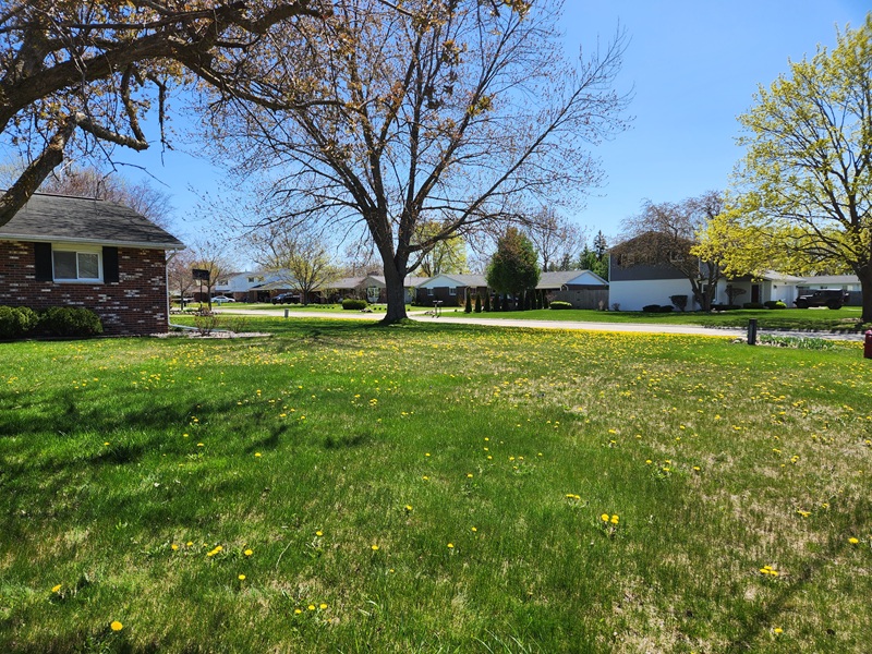 A lawn to be dethatched